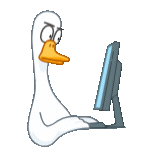 E Learning Localization